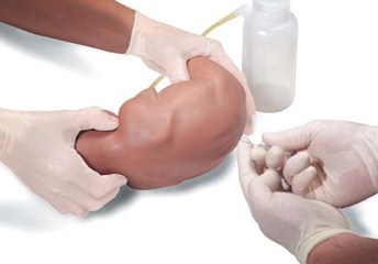 [375-34001] Baby Stap, reproducción de un recién nacido posicionado para la práctica de técnicas de punción lumbar.