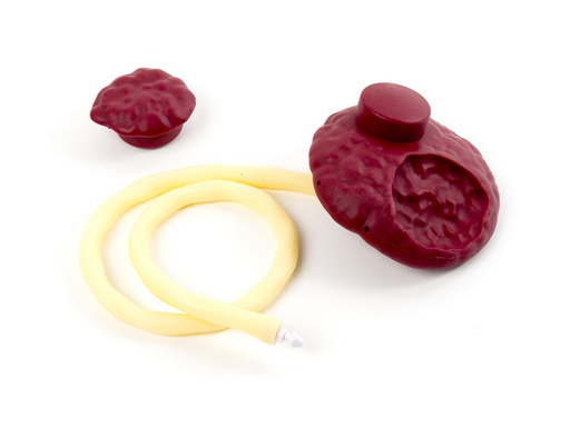 [377-16850] Fragmentos pequeños de placenta retenida de SimMom