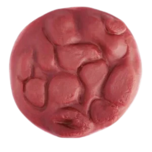 [110-185] Placenta con cordon para OB 110 180U
