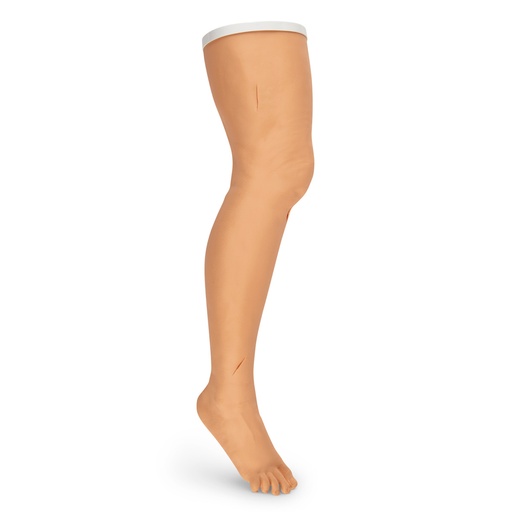 [LF01034U] Pierna para practicar sutura, Estas "heridas" se pueden suturar repetidamente hasta que la piel que las rodea finalmente se desgasta y luego se pueden cortar nuevas "heridas".