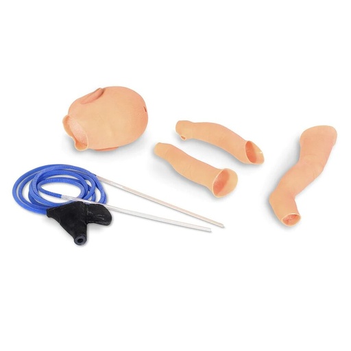 [SB45093] Reemplazo de venas y piel para Nita Newborn