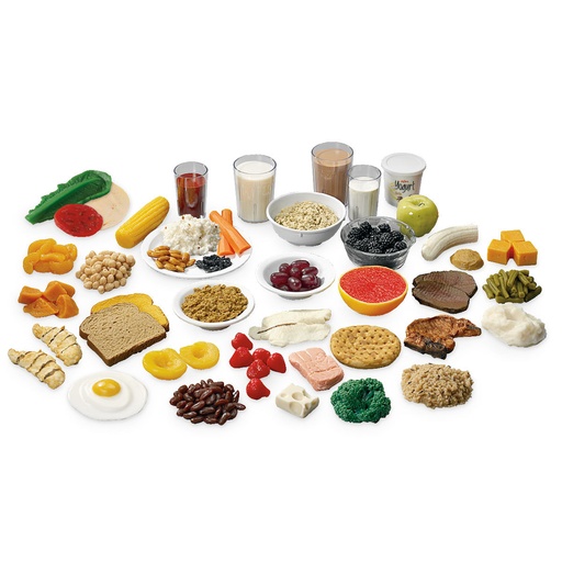 [WA29168] Paquete de réplicas de alimentos guía alimentaria My Plate